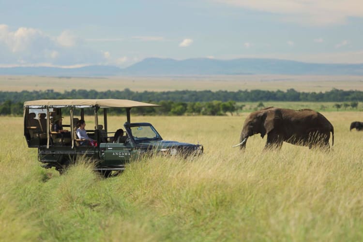 Game viewing